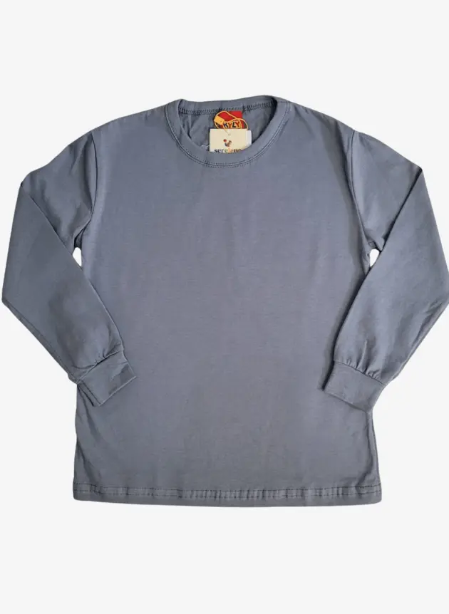 Camiseta Manga Longa Cinza